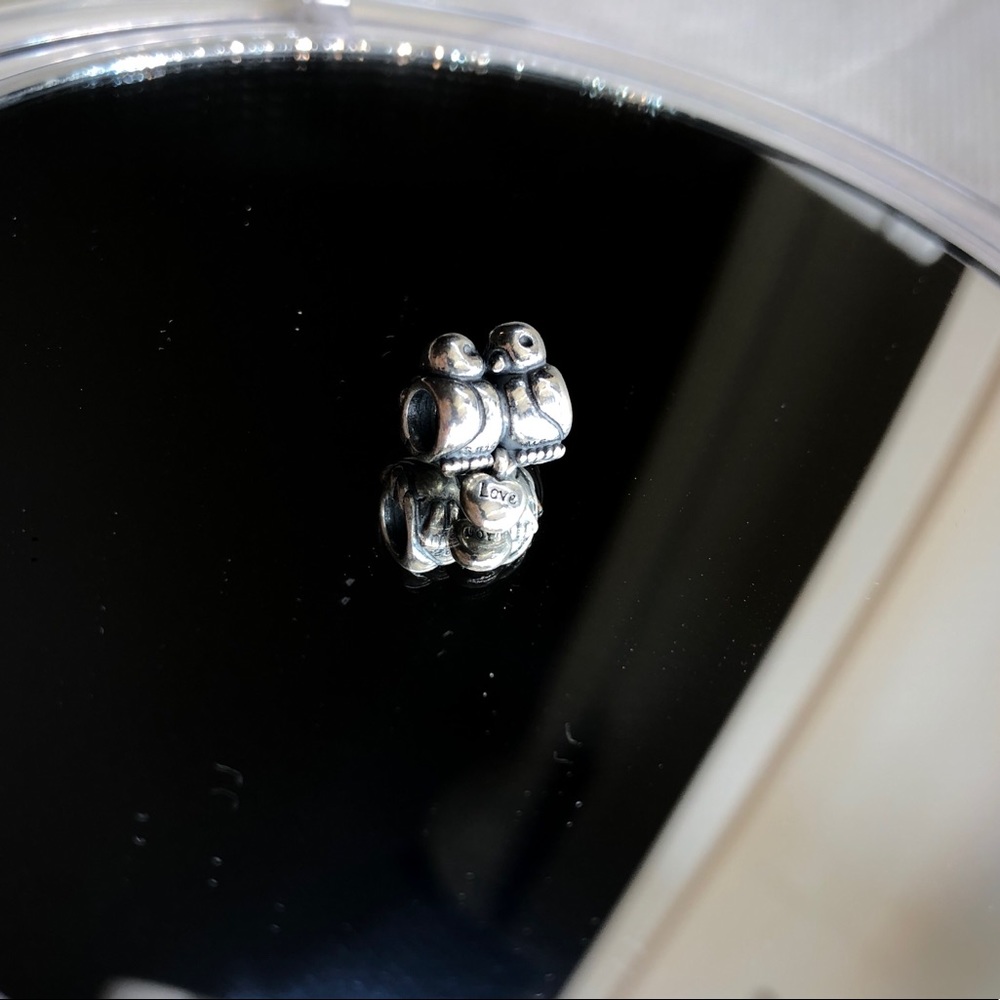 Lovebirds Pandora Charm